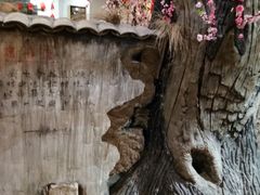 -小饭桶(野三坡百里峡店)