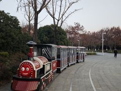 -白塘生态植物园