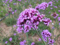 -雪浪山卡丁车俱乐部