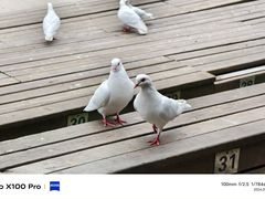-音乐台