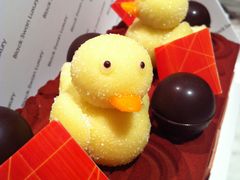 -BLACKSWAN黑天鹅(环球店)