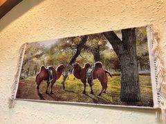 -乡村馕坑肉·烧烤·新疆菜·本地人更爱吃(阿勒泰首店)