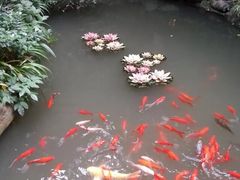 -钦善斋(武侯祠店)