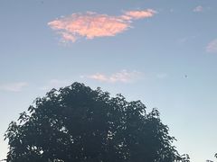 -韶山毛泽东同志故居