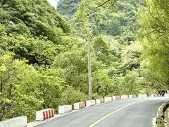 -少华山国家森林公园
