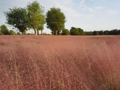 -汉长安城未央宫国家考古遗址公园