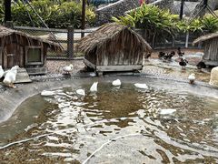 -珠海海泉湾神秘岛亲子乐园
