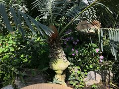 -国家植物园南园