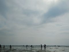 -北海金海湾红树林生态旅游区