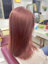 -镁连社·美联社