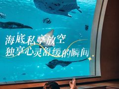 -圣淘沙名胜世界