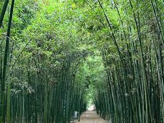 -同里国家湿地公园
