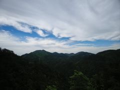-四明山国家森林公园