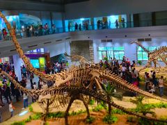 -自贡恐龙博物馆