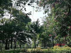 -云溪植物园