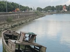 -大湾区中央湿地公园-十九涌