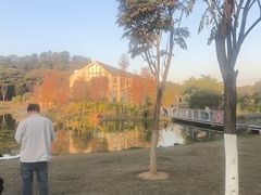 -东莞植物园