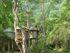 -野象谷景区