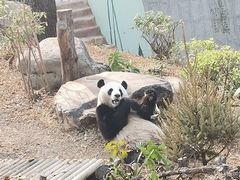 -南宁市动物园