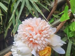 -申粤轩酒楼·三十年粤菜经典(丁香花园店)