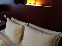 -上海圣淘沙万怡酒店