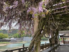 -溪口-滕头旅游景区