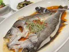 -醉辉皇原味海鲜江南菜(成都大魔方店)
