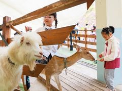 -华谊兄弟（长沙）电影小镇