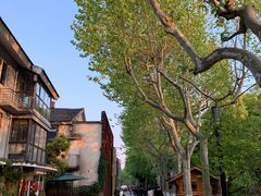 -运河游船(武林门码头)