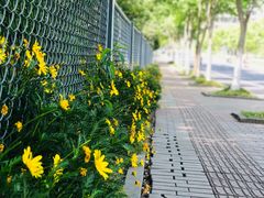 -映月湖中央公园