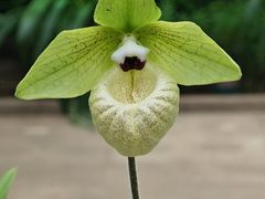 -国家植物园