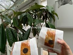 抹茶红豆包-怪 kafe.