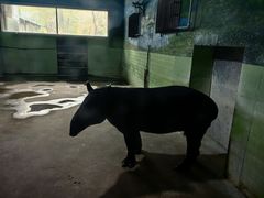 -石家庄市动物园