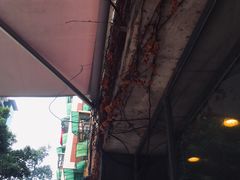 -来回·咖啡(天河南店)