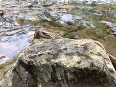 -水墨汀溪风景区