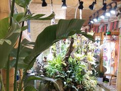-多哥水傣味餐厅(司马巷店)