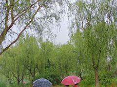 -燕郊植物园