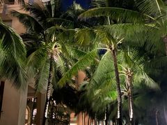 -三亚海棠湾喜来登度假酒店