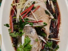 -大顺堂食府(牛街店)