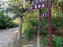 -云岗森林公园
