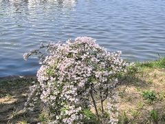 -石家庄市植物园