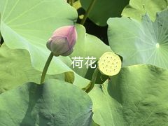 -兰亭风景区