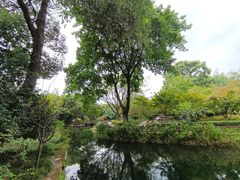 -望江楼公园