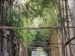 -龙潭水乡