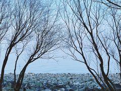 -上海吴淞炮台湾国家湿地公园