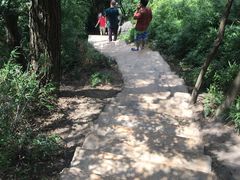 -梦幻奥陶纪景区