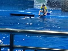 -多彩贵州城极地海洋世界