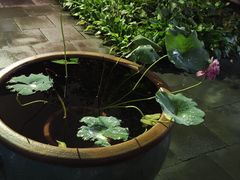 -李叔同故居纪念馆