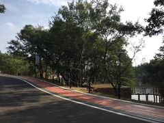 -南京市无想山景区