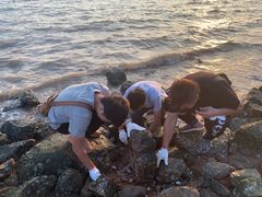 -宝安西湾红树林湿地公园